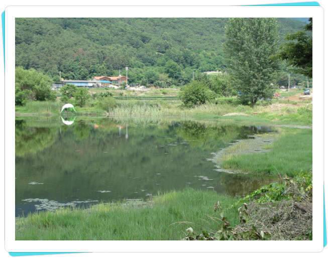 꽝조행기사배지 (조황조행기 - 화보조행기)