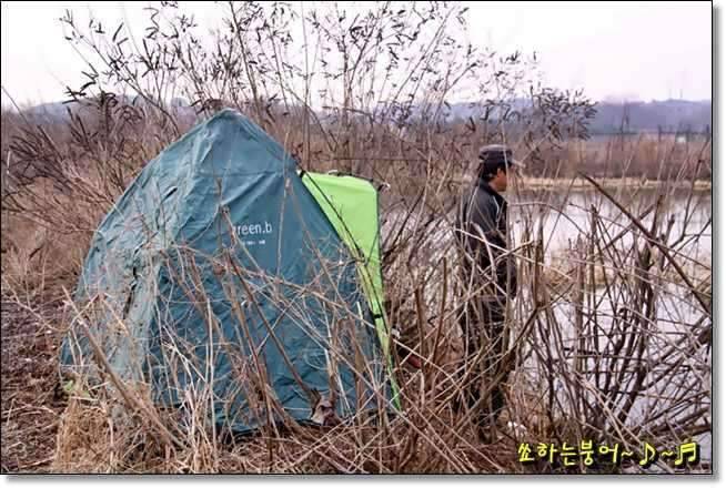 월척 중부회 2009년 시조회 (조황조행기 - 화보조행기)