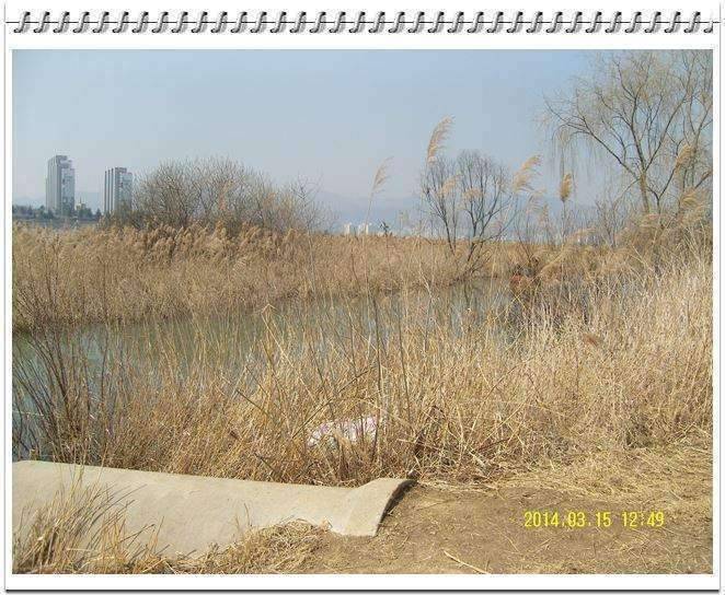 싸라있네 (조황조행기 - 화보조행기)