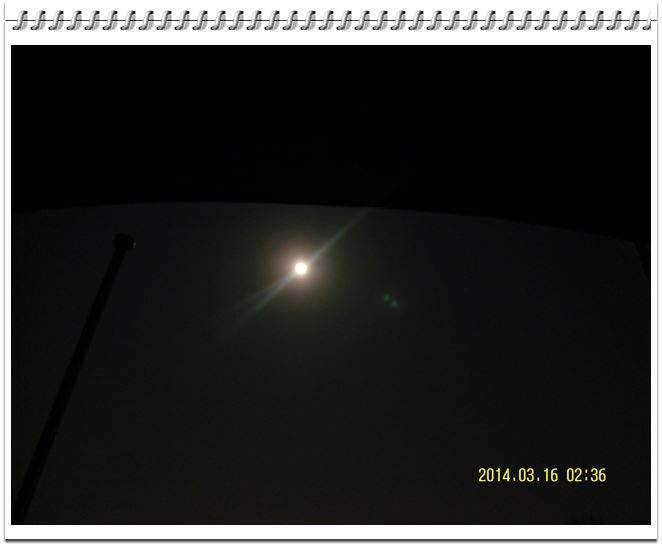 싸라있네 (조황조행기 - 화보조행기)