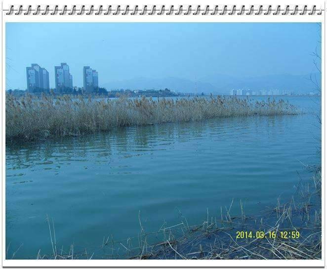 싸라있네 (조황조행기 - 화보조행기)