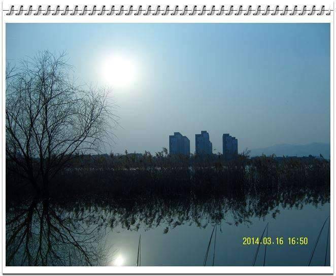 싸라있네 (조황조행기 - 화보조행기)