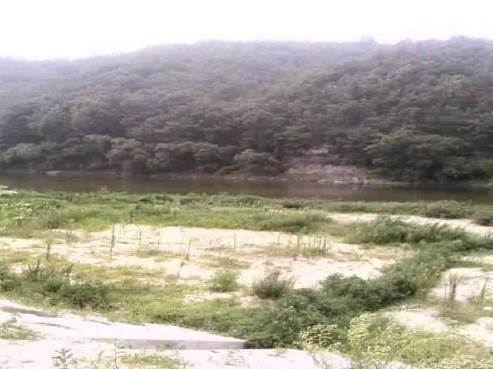 아빠의 솜씨를 보여주마 (조황조행기 - 화보조행기)