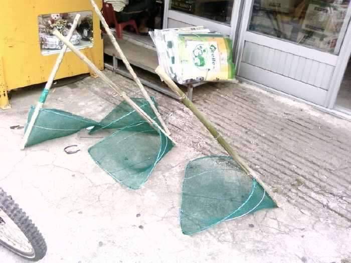 아빠의 솜씨를 보여주마 (조황조행기 - 화보조행기)