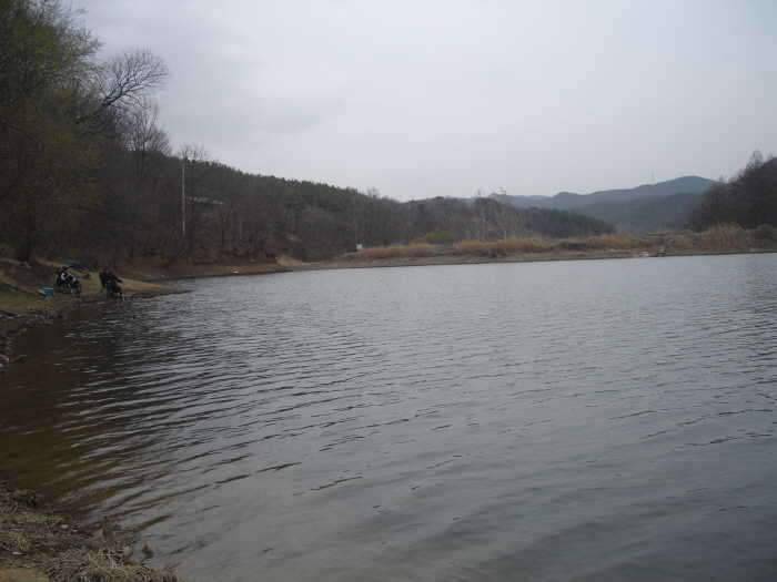 이리저리 왔다갔다 속편 (조황조행기 - 화보조행기)