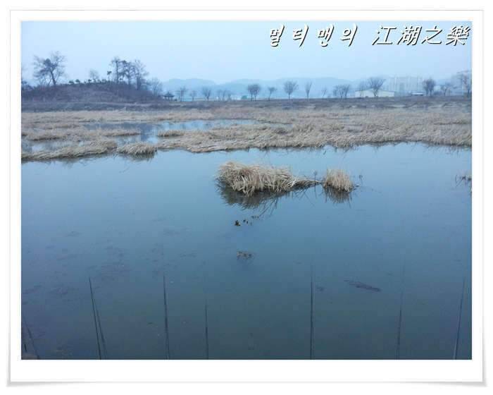 충북지역낚시조황 초보 멀티맨의 낚시조행기 (조황조행기 - 화보조행기)