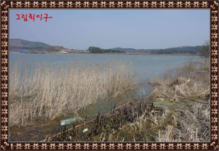 송탄대물의이야기7탄충남 서천축동지 (조황조행기 - 화보조행기)