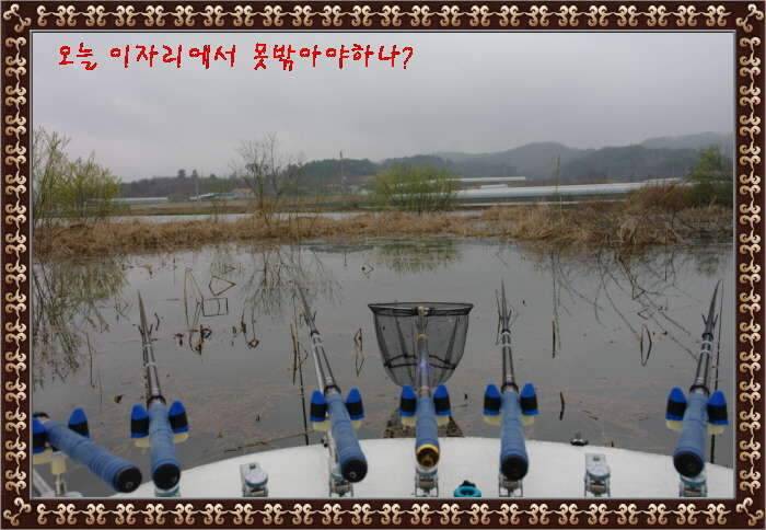 송탄대물의이야기7탄충남 서천축동지 (조황조행기 - 화보조행기)