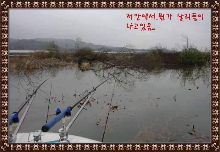 송탄대물의이야기7탄충남 서천축동지 (조황조행기 - 화보조행기)