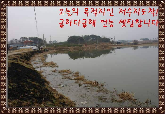 송탄대물의이야기3탄전북 정읍권 (조황조행기 - 화보조행기)