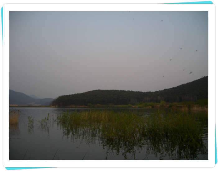 꽝조행기일년만에 뵙네요 (조황조행기 - 화보조행기)