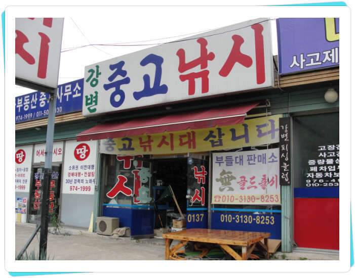 꽝조행기사배지 (조황조행기 - 화보조행기)