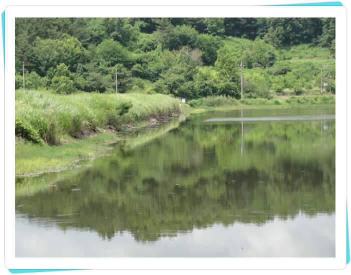 꽝조행기사배지 (조황조행기 - 화보조행기)