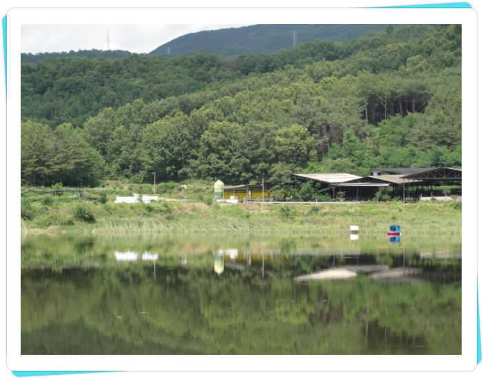 꽝조행기사배지 (조황조행기 - 화보조행기)