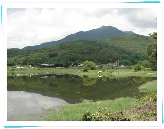 꽝조행기사배지 (조황조행기 - 화보조행기)