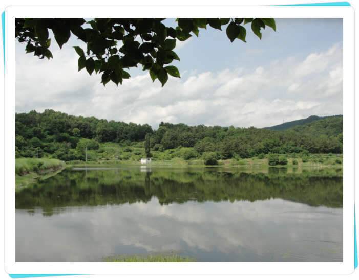 꽝조행기사배지 (조황조행기 - 화보조행기)