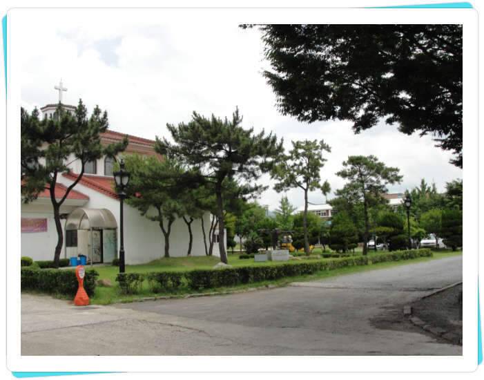 꽝조행기사배지 (조황조행기 - 화보조행기)