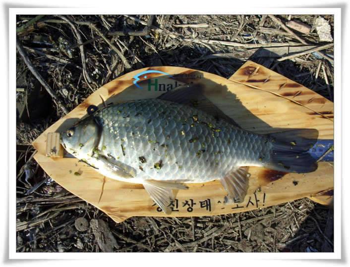 친구 (조황조행기 - 화보조행기)