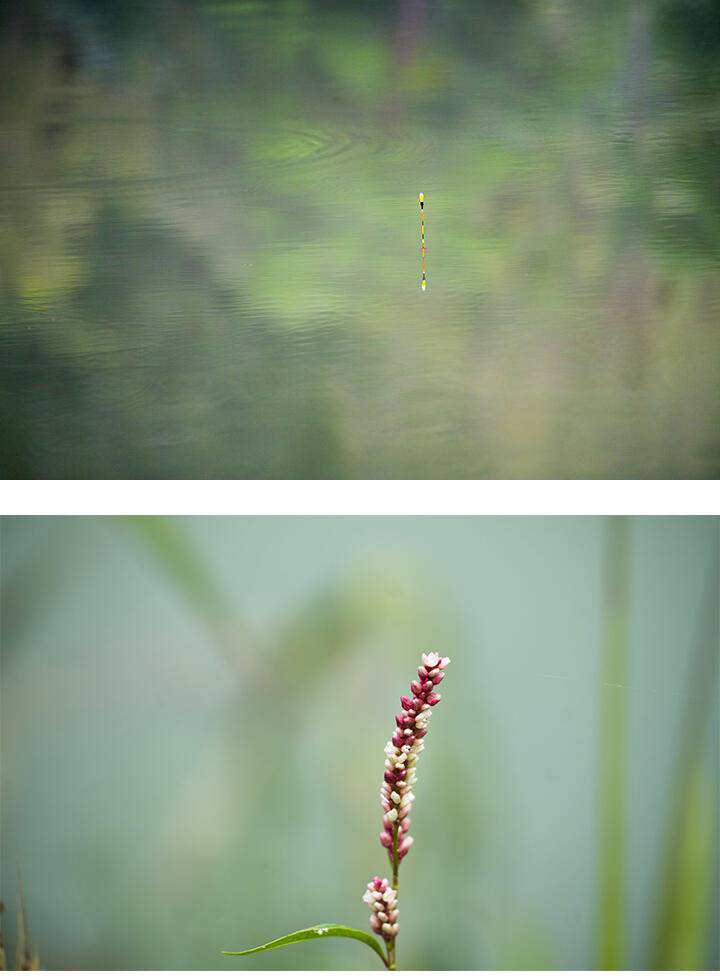 늦은 휴가 (조황조행기 - 화보조행기)