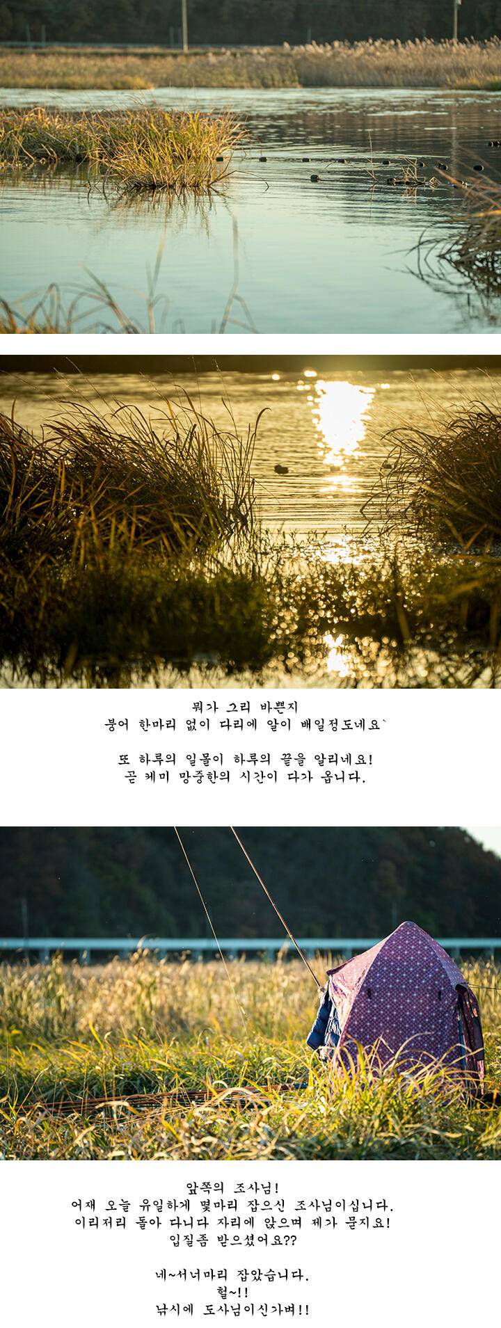 짝 사랑 (조황조행기 - 화보조행기)