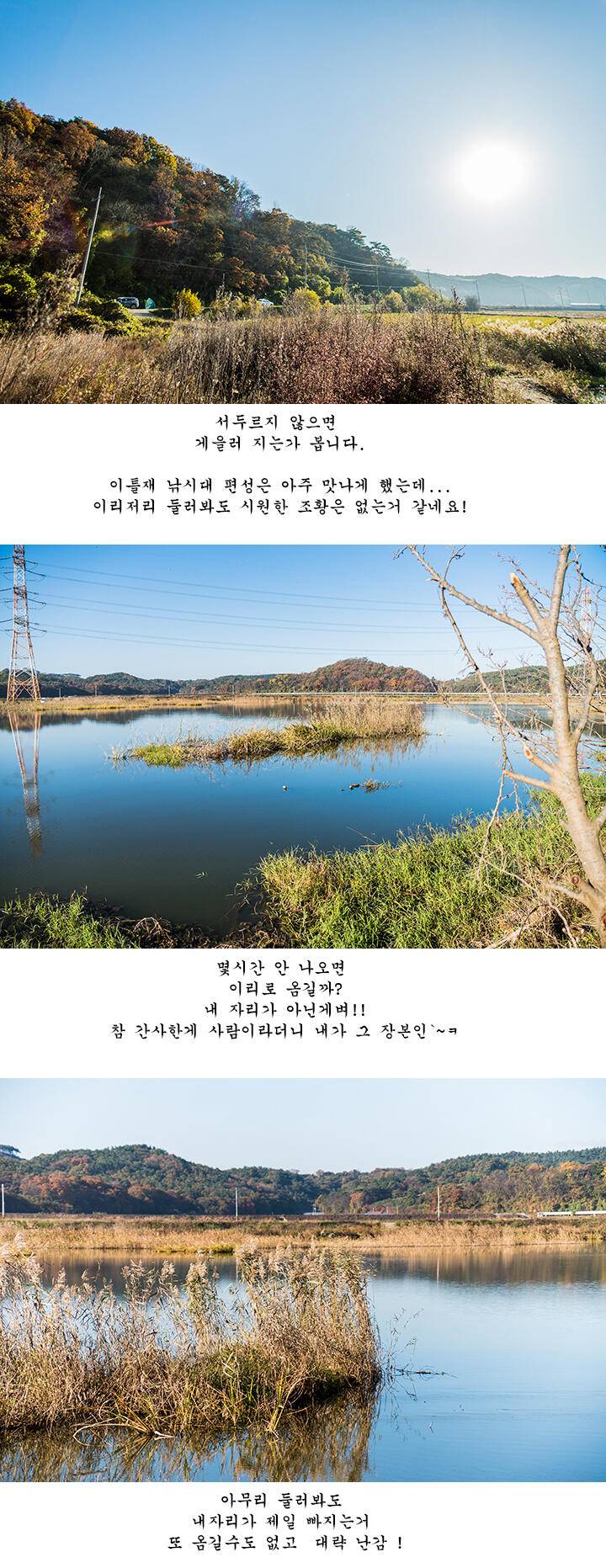 짝 사랑 (조황조행기 - 화보조행기)