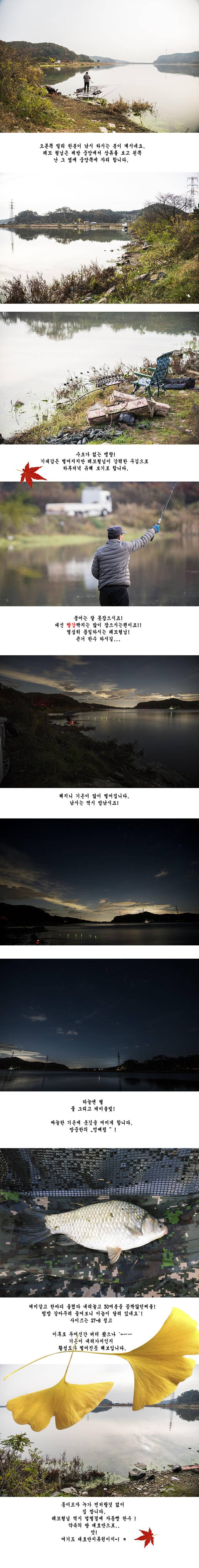 짝 사랑 (조황조행기 - 화보조행기)