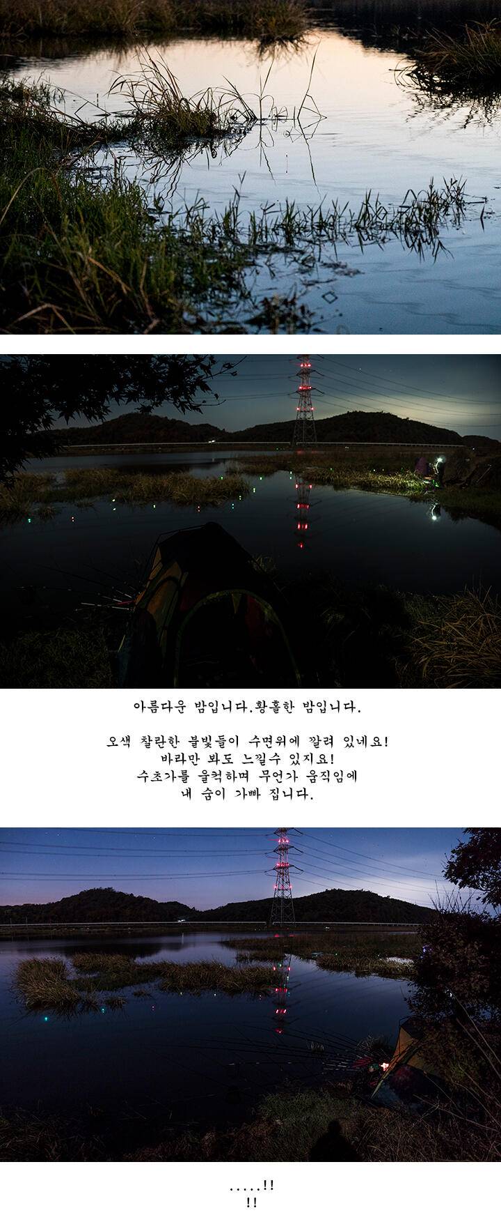 짝 사랑 (조황조행기 - 화보조행기)
