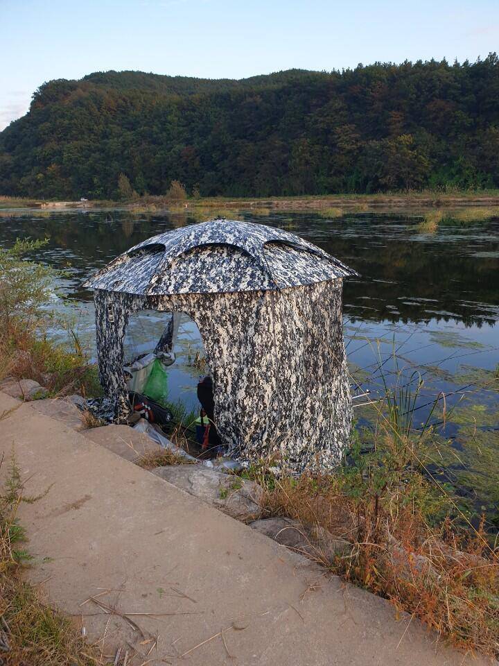 군위 위천강 물돼지붕어 만나고왔습니다 (조황조행기 - 화보조행기)