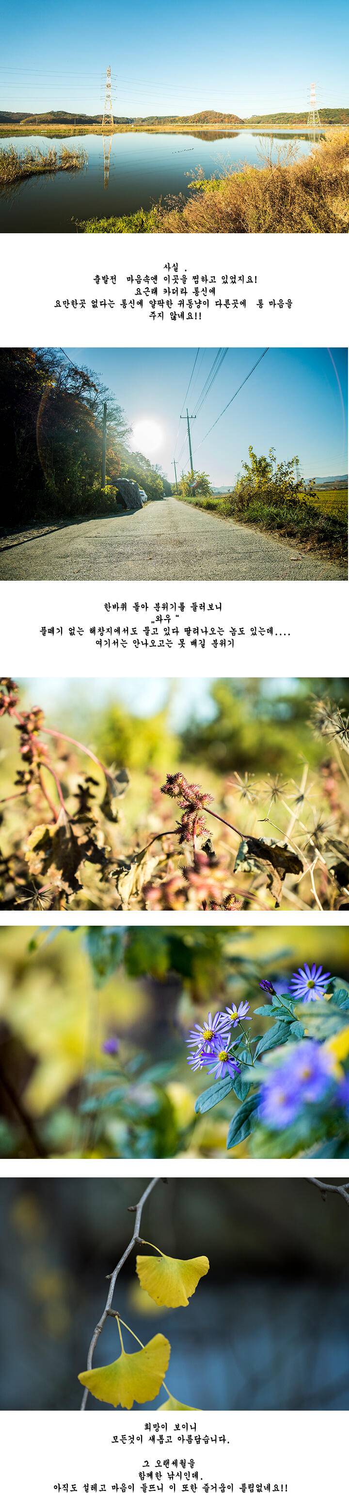 짝 사랑 (조황조행기 - 화보조행기)