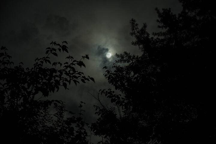 늦은 휴가 (조황조행기 - 화보조행기)