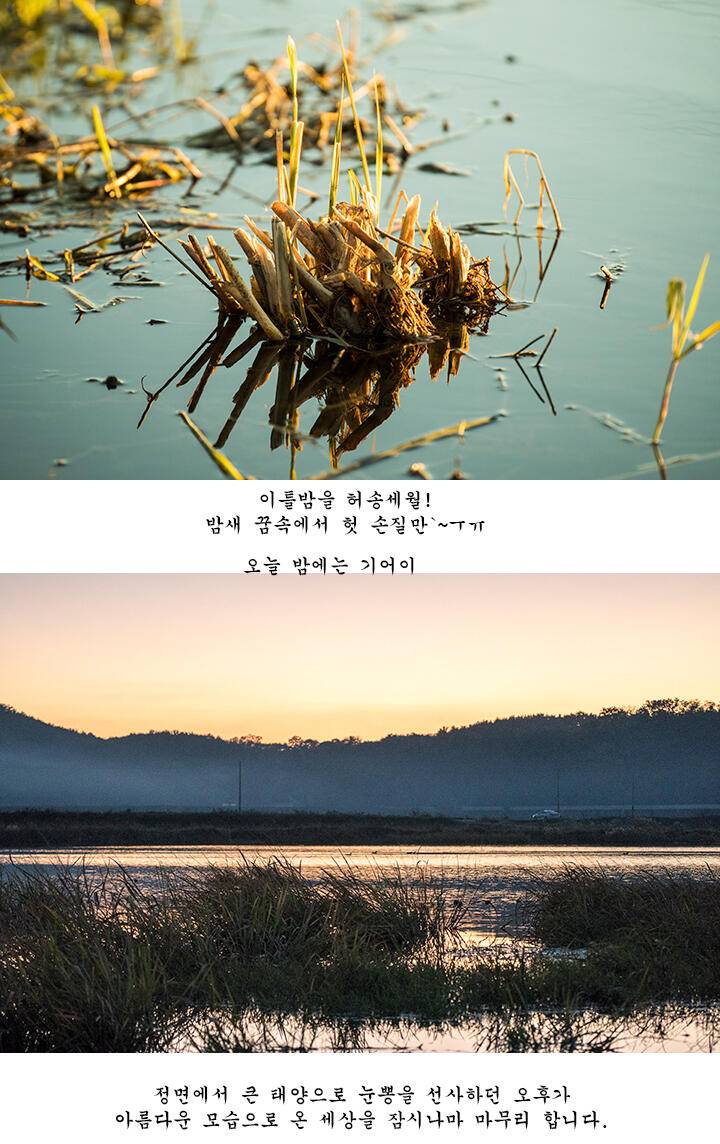짝 사랑 (조황조행기 - 화보조행기)