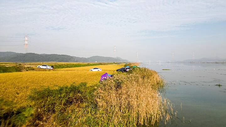 가을 사랑 (조황조행기 - 화보조행기)
