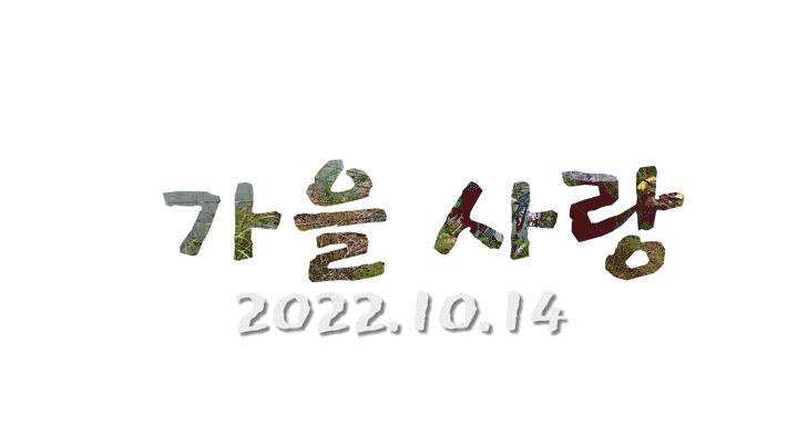 가을 사랑 (조황조행기 - 화보조행기)