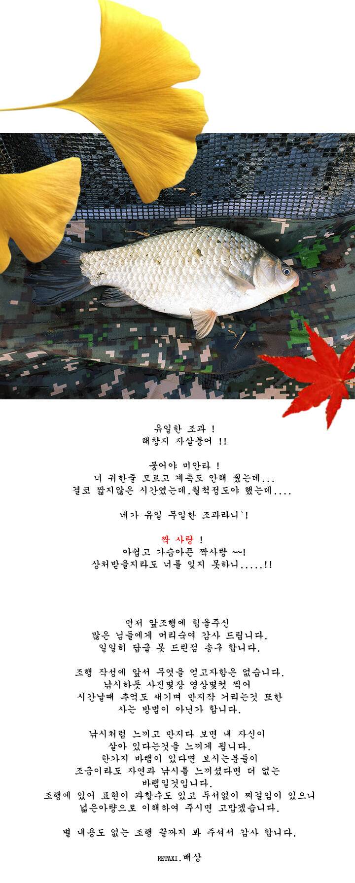 짝 사랑 (조황조행기 - 화보조행기)