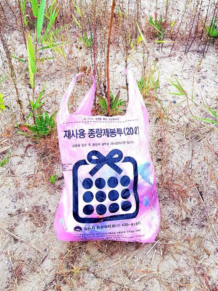 먹개비의 낚시투어 17탄멋쟁이 형님과 동출 (조황조행기 - 화보조행기)