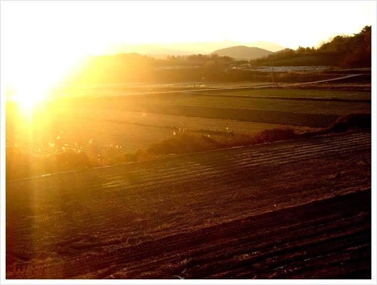 남도 그 1000km의 충분한 이유 (조황조행기 - 화보조행기)