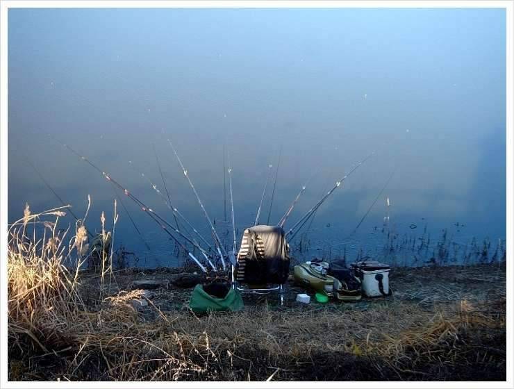 남도 그 1000km의 충분한 이유 (조황조행기 - 화보조행기)