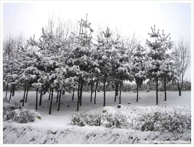 2010년 1월 13일까지 (조황조행기 - 화보조행기)