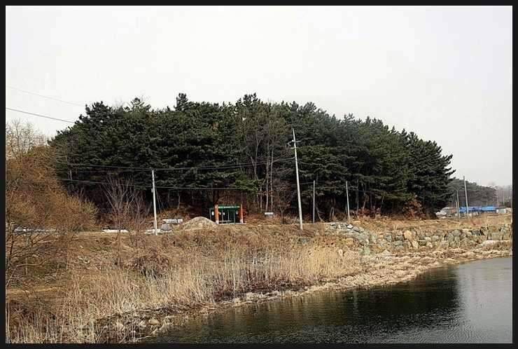 7 2박3일 이야기 (조황조행기 - 화보조행기)