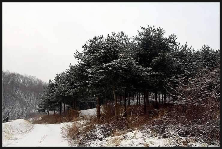 7 2박3일 이야기 (조황조행기 - 화보조행기)