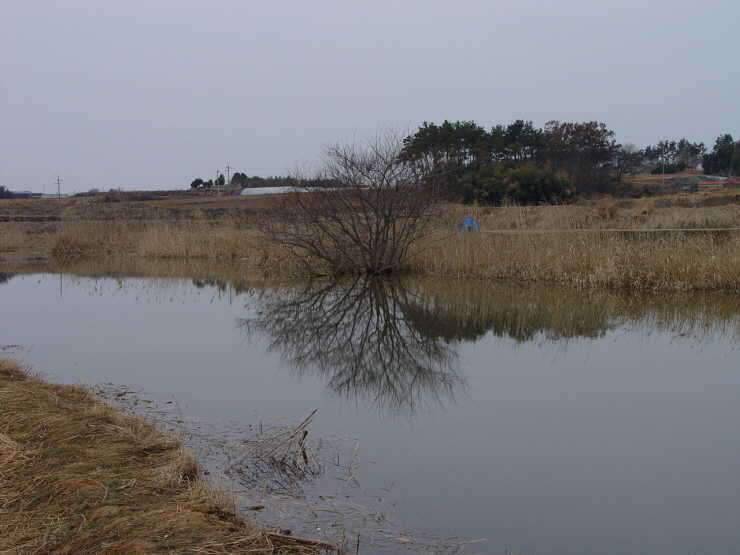 맨발의 붕어사랑방 2 영광에서 안면까지 (조황조행기 - 화보조행기)