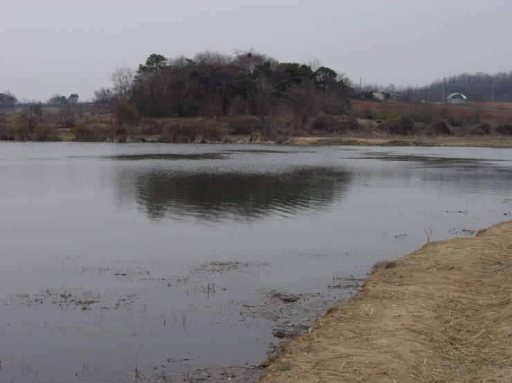 맨발의 붕어사랑방 2 전주 무명소류지입장 연곡지 (조황조행기 - 화보조행기)