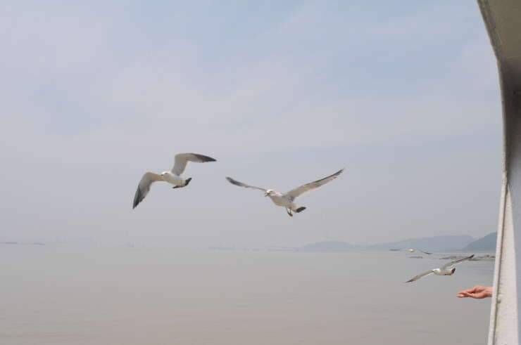 내눈으로 처음본 하루밤에9마리에 월척을 체포 고구지에서 (조황조행기 - 화보조행기)