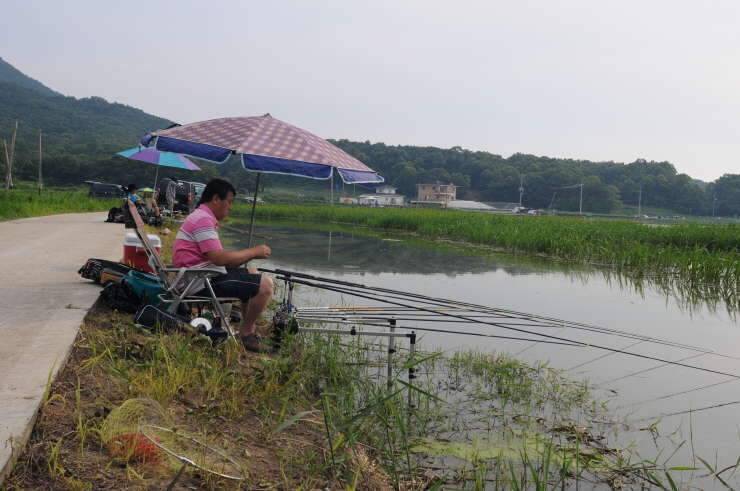 내눈으로 처음본 하루밤에9마리에 월척을 체포 고구지에서 (조황조행기 - 화보조행기)