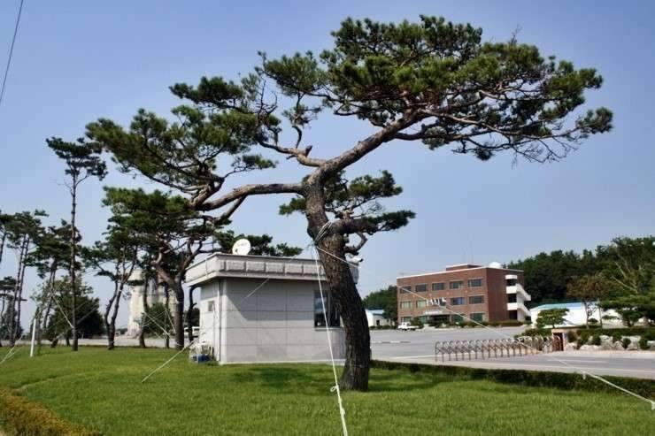 공간의 낚시 조행기 (조황조행기 - 화보조행기)