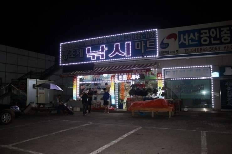 공간의 낚시 조행기 (조황조행기 - 화보조행기)