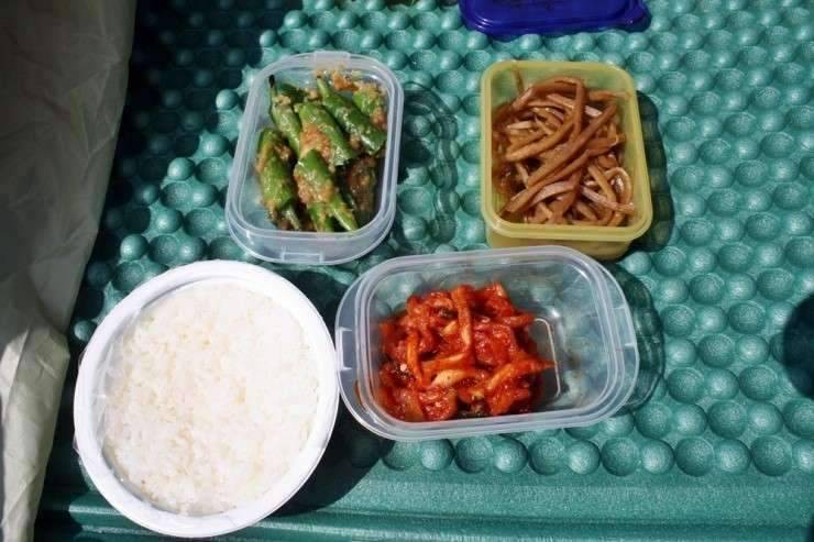 공간의 낚시 조행기 (조황조행기 - 화보조행기)