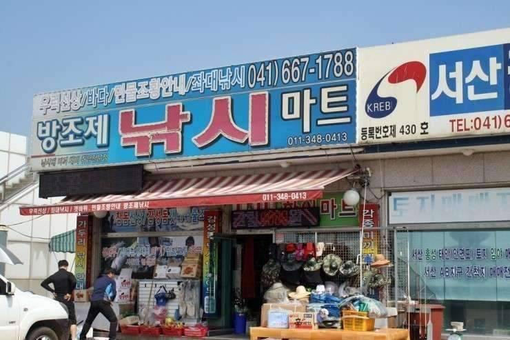 공간의 낚시 조행기 (조황조행기 - 화보조행기)