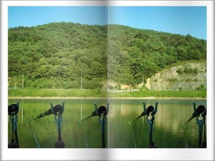 황금 붕어 (조황조행기 - 화보조행기)