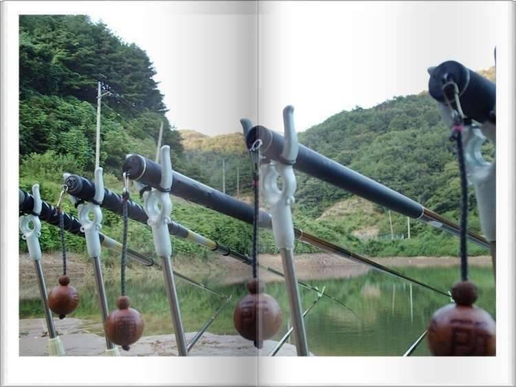 황금 붕어 (조황조행기 - 화보조행기)